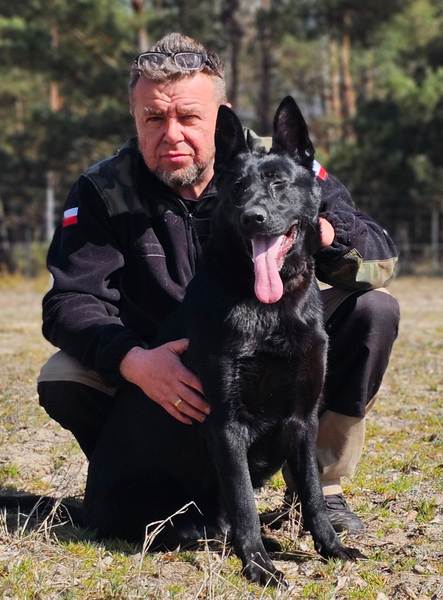 Zdjęcie na okładce dla Szkolenia psów Gold Training Dog System - Behawiorysta